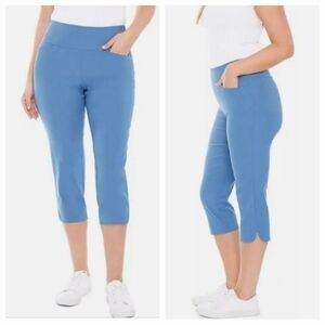 S.C. & CO. Blue Capri Pants